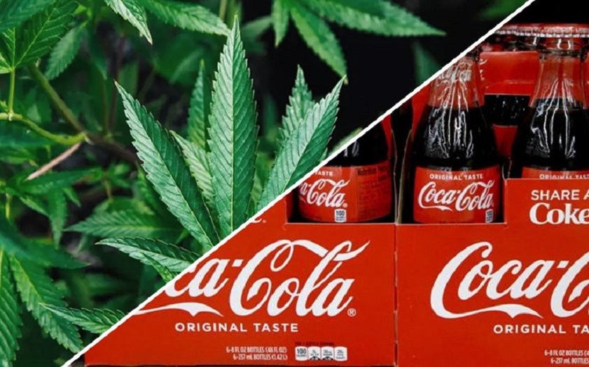 Coca-Cola eyes CBD 'functional Wellness beverages' as soda market cools
