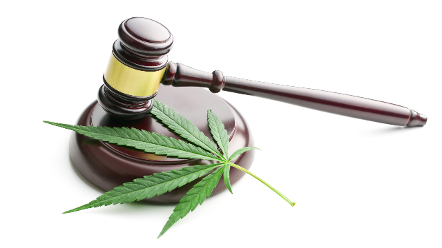 UK Government legalizes medicinal cannabis